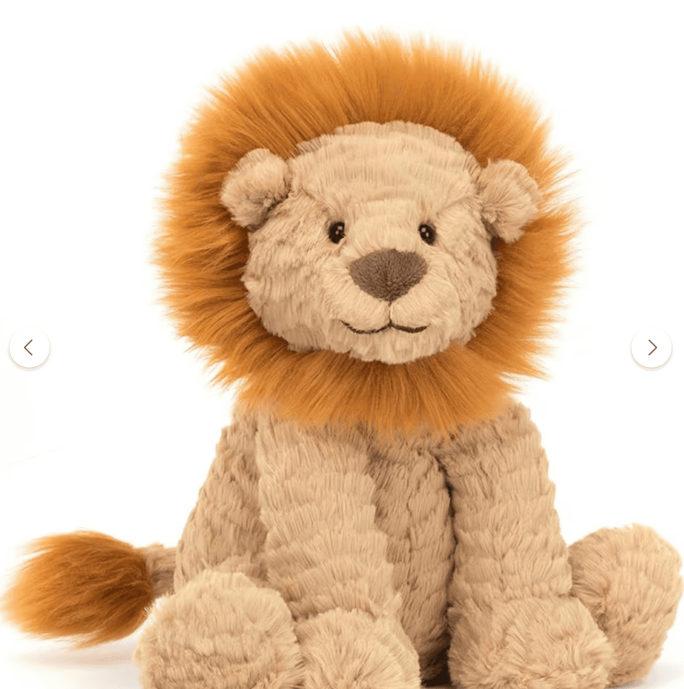 A plush lion toy before becoming a storybook character