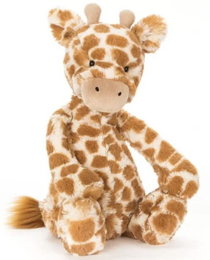 Photo of a child's plush giraffe on a plain background